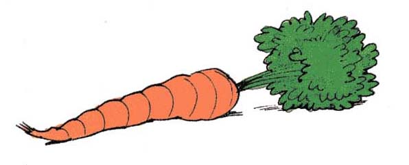 carrot.jpg