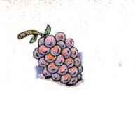 grapes.jpg