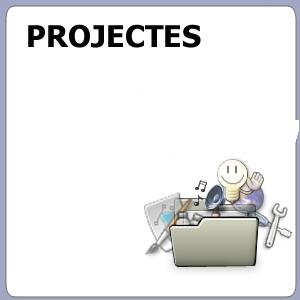 PROJECTES