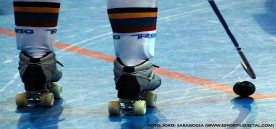 hock