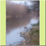 ter5.gif