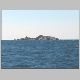 capcreus5.gif