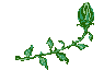 La imatge “http://www1.bestgraph.com/gifs/paysages/roses/roses-01.gif”  no es pot mostrar perquè conté errors.