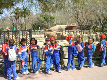zoo-09_04.jpg (87486 bytes)