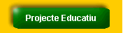 Projecte Educatiu