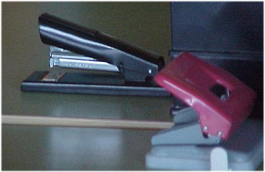 estris.jpg (26958 bytes)