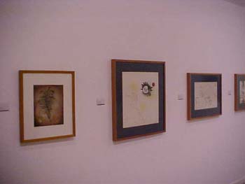 museu emporda13