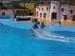 dofins marineland 81