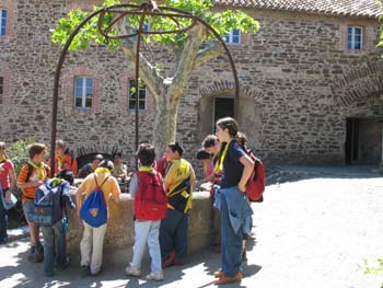 cotlliure10