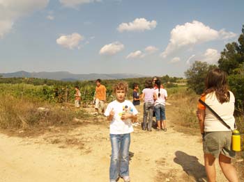 Verema07-0884
