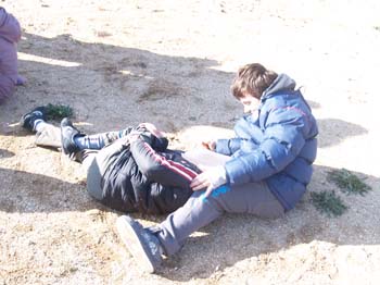 lligats13