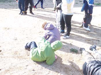 lligats14