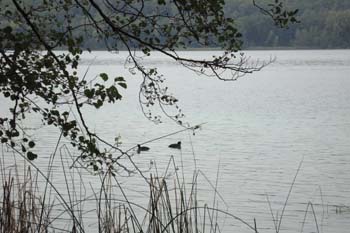 banyoles ci 039
