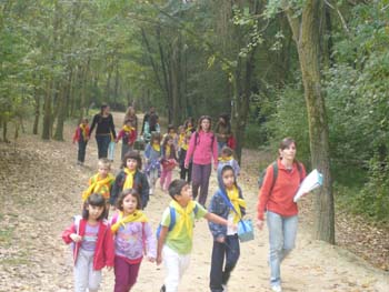 banyoles ci 055