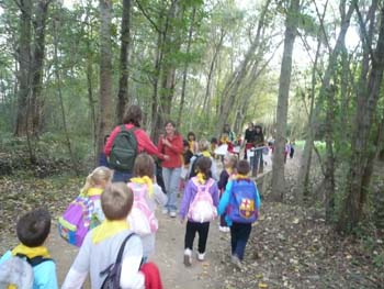 banyoles ci 065