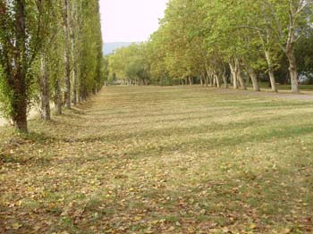 banyoles ci 086
