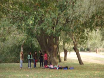 banyoles ci 101