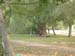 banyoles ci 084