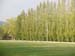 banyoles ci 085