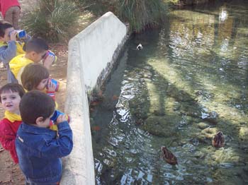 banyoles ei 11