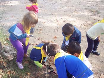 banyoles ei 14