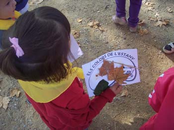 banyoles ei 17