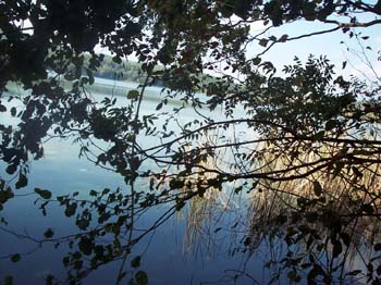 banyoles ei 24