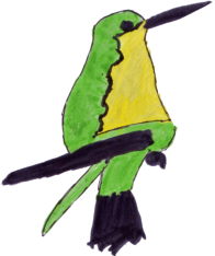 El colibrí