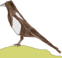 Té el pel lluent