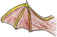 Ala del ratpenat