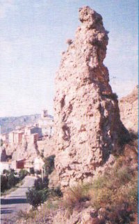 seroneta