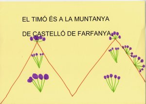 castell2