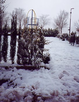 AQUESTA NEVADA S LA DEL NADAL DEL 2001-02