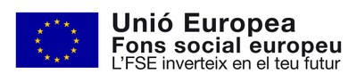Programa de Fons Social Europeu