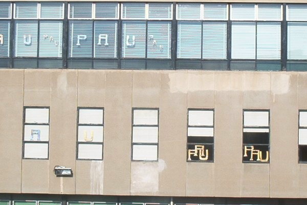 pau03.jpg (78280 bytes)