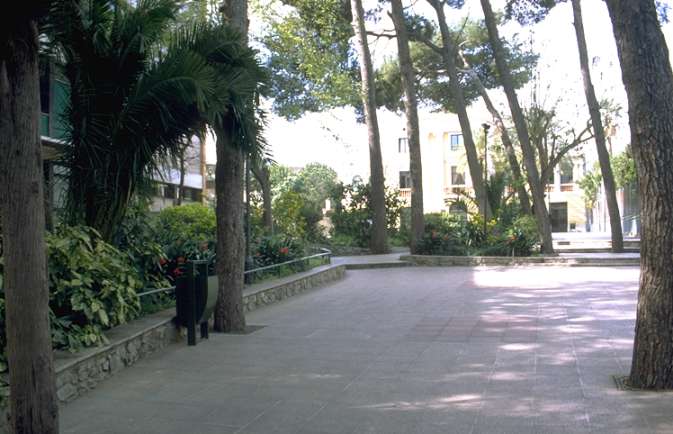 jardigr.jpg (43774 bytes)