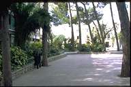 jardipq.jpg (5682 bytes)