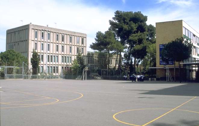 patigr.jpg (30699 bytes)