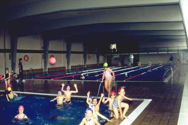 pinengr.jpg (32600 bytes)