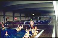 pinenpq.jpg (5199 bytes)