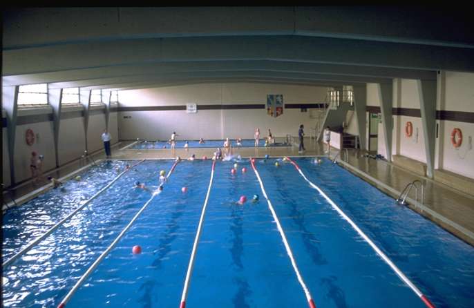 piscigr.jpg (34801 bytes)