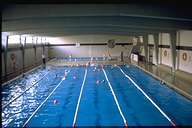 piscipq.jpg (5036 bytes)