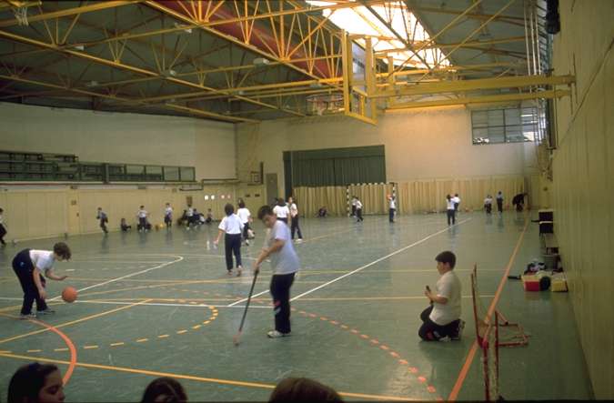 polidgr.jpg (34882 bytes)