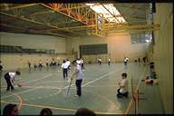 polidpq.jpg (4872 bytes)