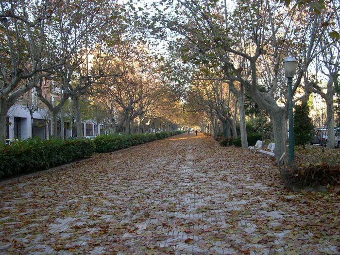 foto del passeig