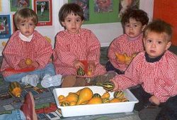 ©EEI El niu de Llagostera