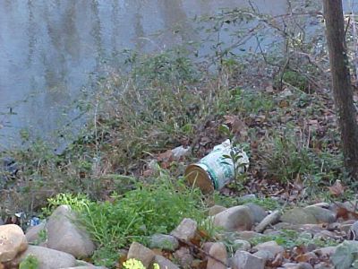 Imatge digitalitzada al CEIP de Montjuc