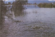 Estany de la Platja d'Espolla