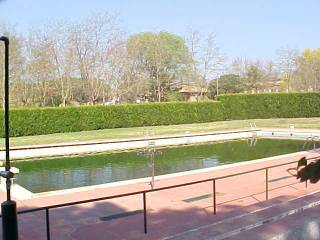 piscines.jpg (15085 bytes)