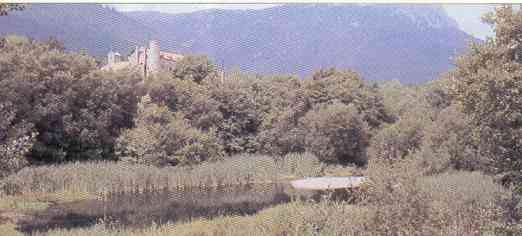 pantapetit de santa fe.jpg (13164 bytes)
